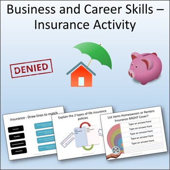 Preview of Financial Literacy -  Personal Insurance Lesson Activity