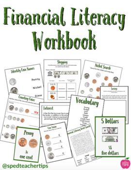 Preview of Financial Literacy Workbook