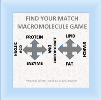 Preview of Find Your Match: Macromolecule Game