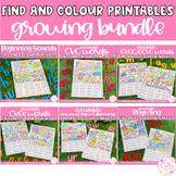 Find and Colour Printables - BUNDLE