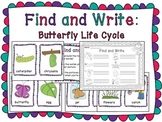 Butterfly Life Cycle (Life Cycle of a Butterfly Worksheet 