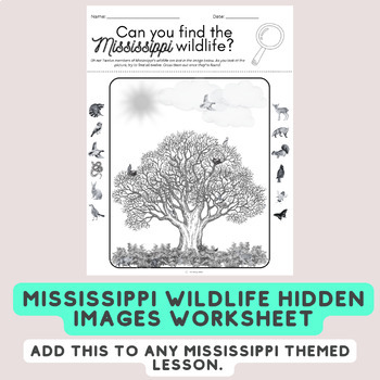 Preview of Find the Hidden Images - Mississippi Wildlife Inspired