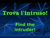 Find the intruder