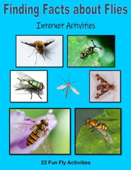 Preview of Finding Facts about Flies - Internet Activities