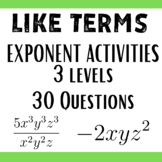 Finding Like Terms [Exponent Activity]