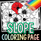 Finding Slope Between 2 Points Coloring Activity Sheet