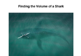 Finding the Volume of a Shark