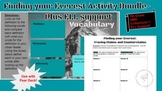 Finding your Everest Activity Bundle- Plus ELL support