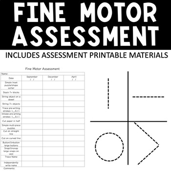 Fine Motor Assessment by Little Minds Workshop | TpT