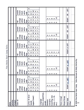 Preview of Fine Motor Boot Camp DATA Progress Monitoring Sheet