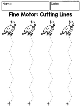 Fall Fine Motor Skills: Scissor Cutting Practice - Pre-K Pages