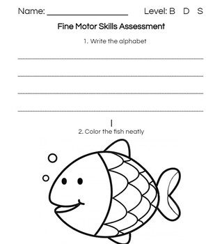 Preview of Fine Motor Skills Assessment