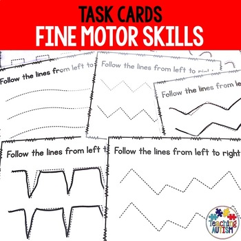 Preview of Fine Motor Skills Activities Task Cards