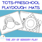 Fine motor and sensory playdough mats homeschool preschool