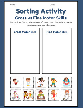 Preview of Fine versus Gross Motor Skill Physical Development Unit Activities