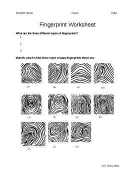 Preview of FingerPrint Worksheet
