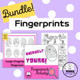 Fingerprint BUNDLE!  Diagrams & Activity W/Bonus Sketch No