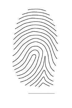 Preview of Fingerprint Introduction Activity