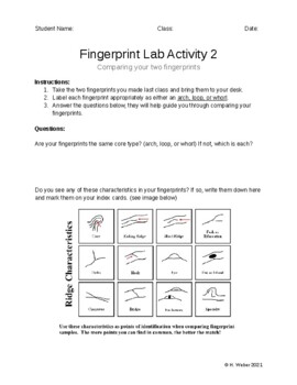 Fingerprint Ridge Characteristics Worksheet