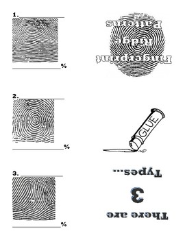 Preview of Fingerprint Pattern Foldable