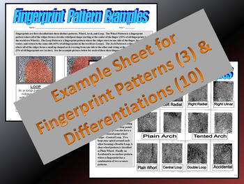 Preview of Fingerprint (Patterns & Differentiation) Problems and Examples / Sub