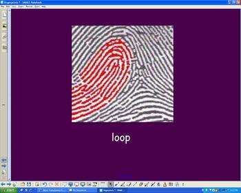 Preview of Fingerprint Sorting Interactive Whiteboard Activity