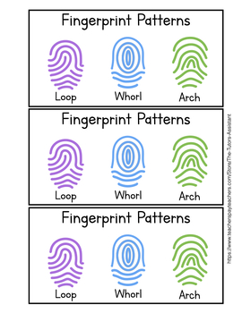 Preview of Fingerprint patterns FREEBIE!