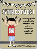 Finish Strong - Setting Goals for Ending the School Year w