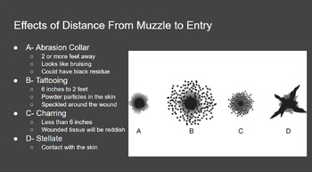 Preview of Firearms and Ballistics Analysis