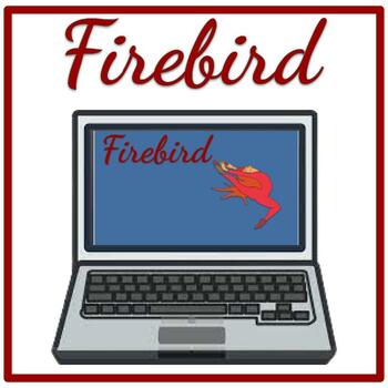 Preview of Firebird Reading Comprehension Activities DIGITAL