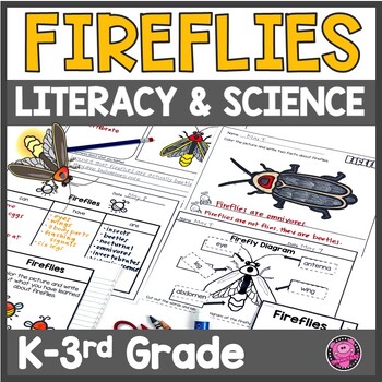 Preview of Fireflies Insects Flipbook Research & Writing Diagrams Posters & Activities 