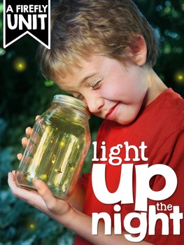 Preview of Fireflies - Nonfiction Activities