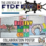 Firefly Activity: Collaborative Research Poster