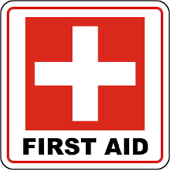 Preview of First Aid