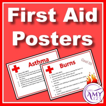 Preview of First Aid Posters
