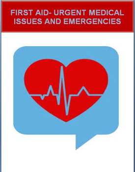 Preview of First Aid- Urgent and Emergency Medical Issues. CDC Health Standard 5