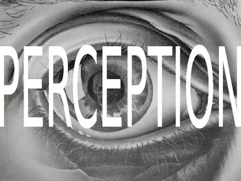 Preview of First Day Activity - Perception