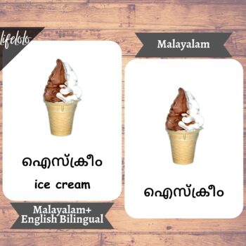 First Words MALAYALAM Version English Bilingual Cards 48 