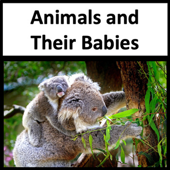 Animals and Their Babies First Grade NGSS 1-LS1-2 and 1-LS3-1