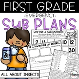 Insects Emergency First Grade Sub Plans | May | NO PREP Su