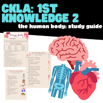 Preview of First Grade CKLA Knowledge 2 The Human Body Study Guide