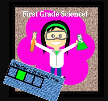 Preview of First Grade Common Core and Next Generation Science NGSS Lessons: Quarter 2