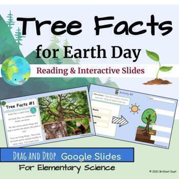 Preview of First Grade Earth Day Tree Facts | Science & Reading Google Slides