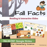 First Grade Fall Reading Comprehension | Google Slides Science