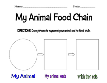 Preview of First Grade Food Chain Record Sheet/ Graphic Organizer