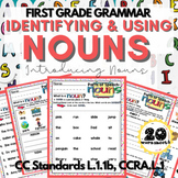First Grade Grammar: Introducing and Using Nouns (20 Stand