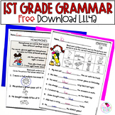 Homophones - Grammar and Vocabulary - First Grade - FREE