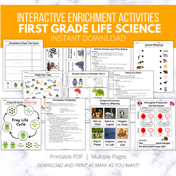 Preview of First Grade Life Science Mega Bundle: NGSS Interactive Activities