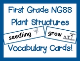 First Grade NGSS Plant Structures Vocabulary Cards