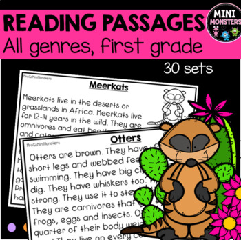Preview of First Grade Reading Fluency Passages